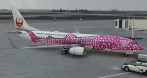 PMDG 737-800 Japan Transocean Air - JA06RK thumbnail 2