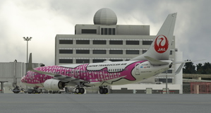 PMDG 737-800 Japan Transocean Air - JA06RK thumbnail 5