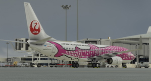 PMDG 737-800 Japan Transocean Air - JA06RK thumbnail 6