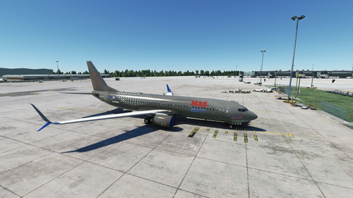 PMDG 737-800 Mag Sim TV SSW