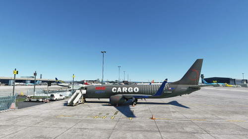PMDG 737-800 Mag Sim TV BCF (cargo) BW