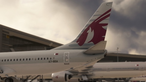 PMDG 737-800 "MAX" - Qatar Airways A7-BSA (w/ cabin) thumbnail 5