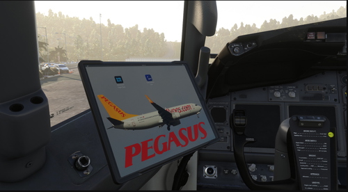 PMDG 737-800 Pegasus EFB