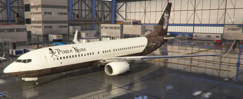 PMDG 737-800 PEROLA NEGRA