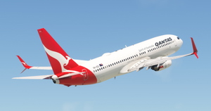 PMDG 737-800 Qantas - VH-VZU Split Scimitars thumbnail 2