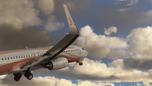PMDG 737-800 Ruili Airlines (B-1960) 苏南瑞丽航空