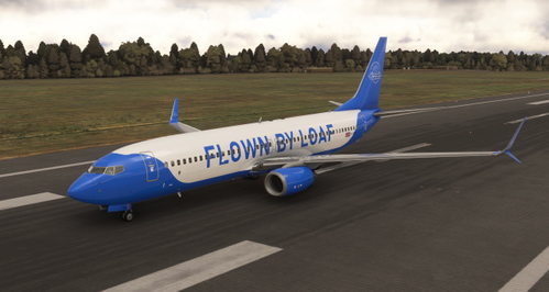 PMDG 737-800 SSW FlownByLoaf (G-CFBL) Fictional