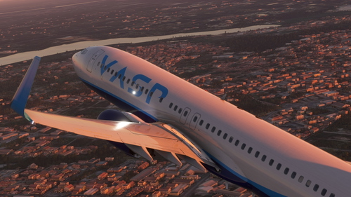 PMDG 737-800 Vasp FIC