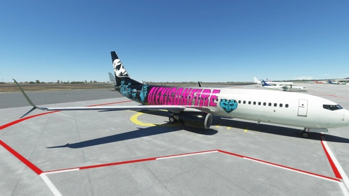 PMDG 737-800BBJ2 "Alexisonfire" (C-AOFZ)