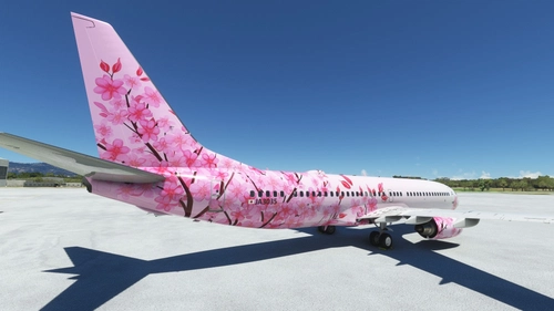 PMDG 737-800BBJ2 "Blossom" (JA3035)