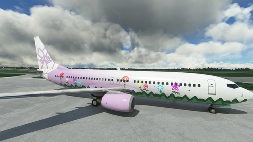 PMDG 737-800BBJ2 "BrightFlowers" (OO-IMA)