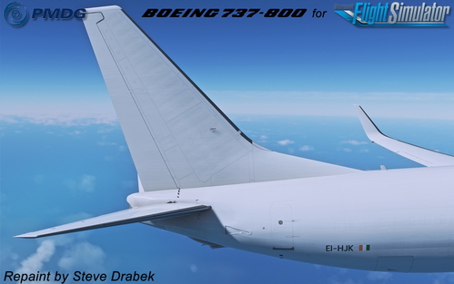 PMDG 737-800BCF ASL (EI-HJK - 2023)
