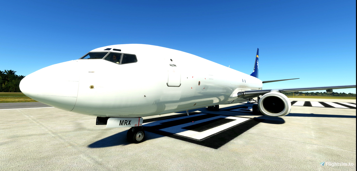 PMDG Boeing 737-800 Liveries for Microsoft Flight Simulator | MSFS ...