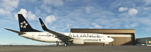 PMDG 737 Continental Airlines - Star Alliance Livery Pack