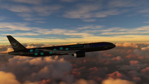 PMDG 777-300ER | D-ALGQ | Air German | VA | with some cabin details