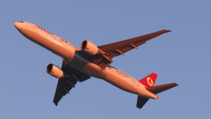 PMDG 777-300ER Turkish Airlines (TC-JJB - 2010 - MARMARA) thumbnail 22