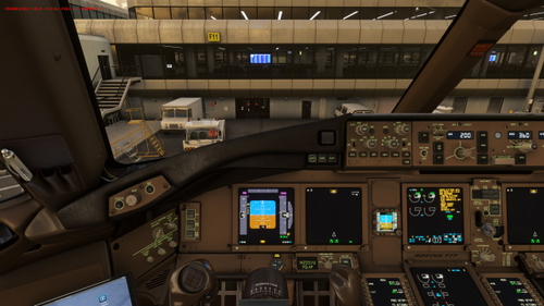PMDG 777 Customs Views