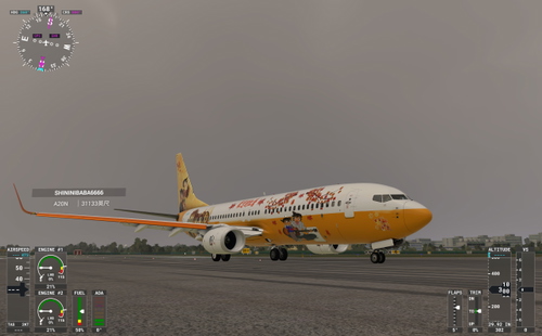 pmdg-aircraft-737-800_Detective Conan B-2698 -名侦探柯南彩绘