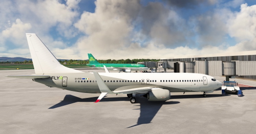 PMDG B 737-800 Fly4 livery (EI-FFD)