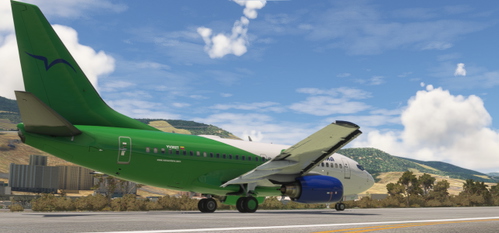 PMDG B737-600 Venezolana YV302T