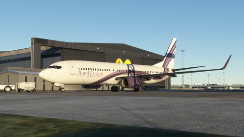 PMDG B737-800 BW | Articus (flylat virtual airline) | ACT110