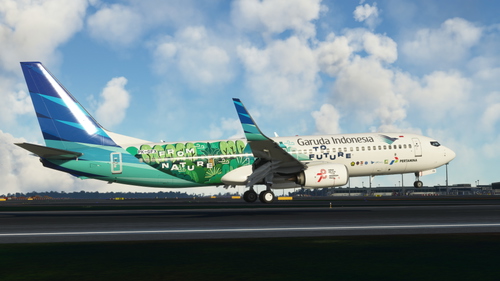 PMDG B737-800 Custom Views