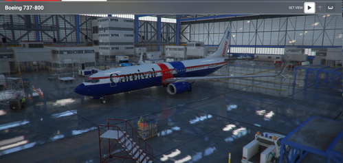PMDG Boeing 737-800 CARNIVAL AIRLINES (Nose Mismatch)