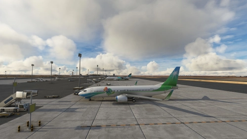 PMDG Boeing 737-800 Saudi Aramco [Requested]