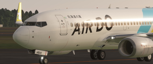 PMDG737-700 AIR DO FLEET (JA09AN,JA14AN)