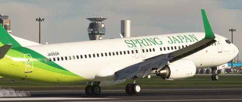 PMDG737-800 SPRING JAPAN (JA05GR)