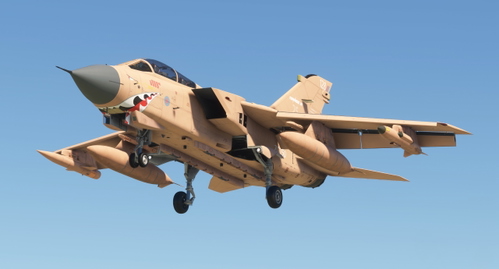 RAF  Panavia Tornado GR.4  "PINKY" Tail ZG750