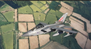 RAF  Panavia Tornado GR.4  "RAF 100" Tail ZA554 (8K Textures) thumbnail 1
