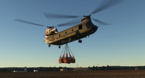RAF CH-47D 40th Aniversary Scheme  ZD984 thumbnail 3