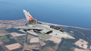 RAF  Panavia Tornado GR.4  "RAF 100" Tail ZA554 (8K Textures) thumbnail 7
