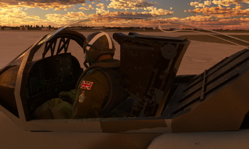 RAF Pilot