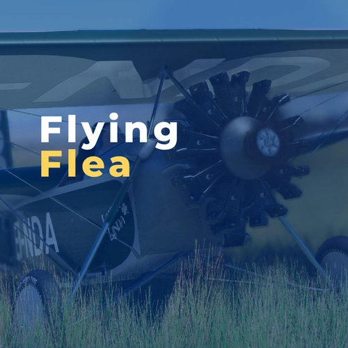 Flying Flea (Pou du Ciel)