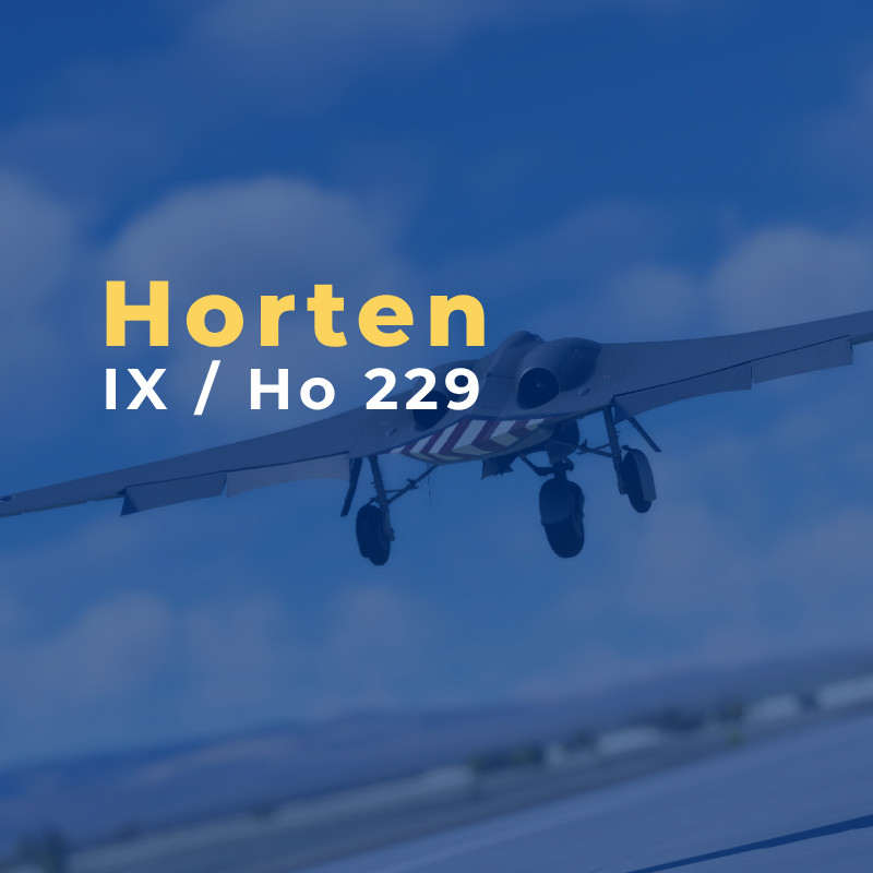 Rara-Avis Sims - Horten IX / Ho 229 for Microsoft Flight