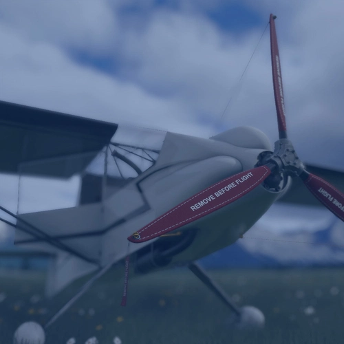 Rara-Avis Sims Zippy Sport Version 2.0
