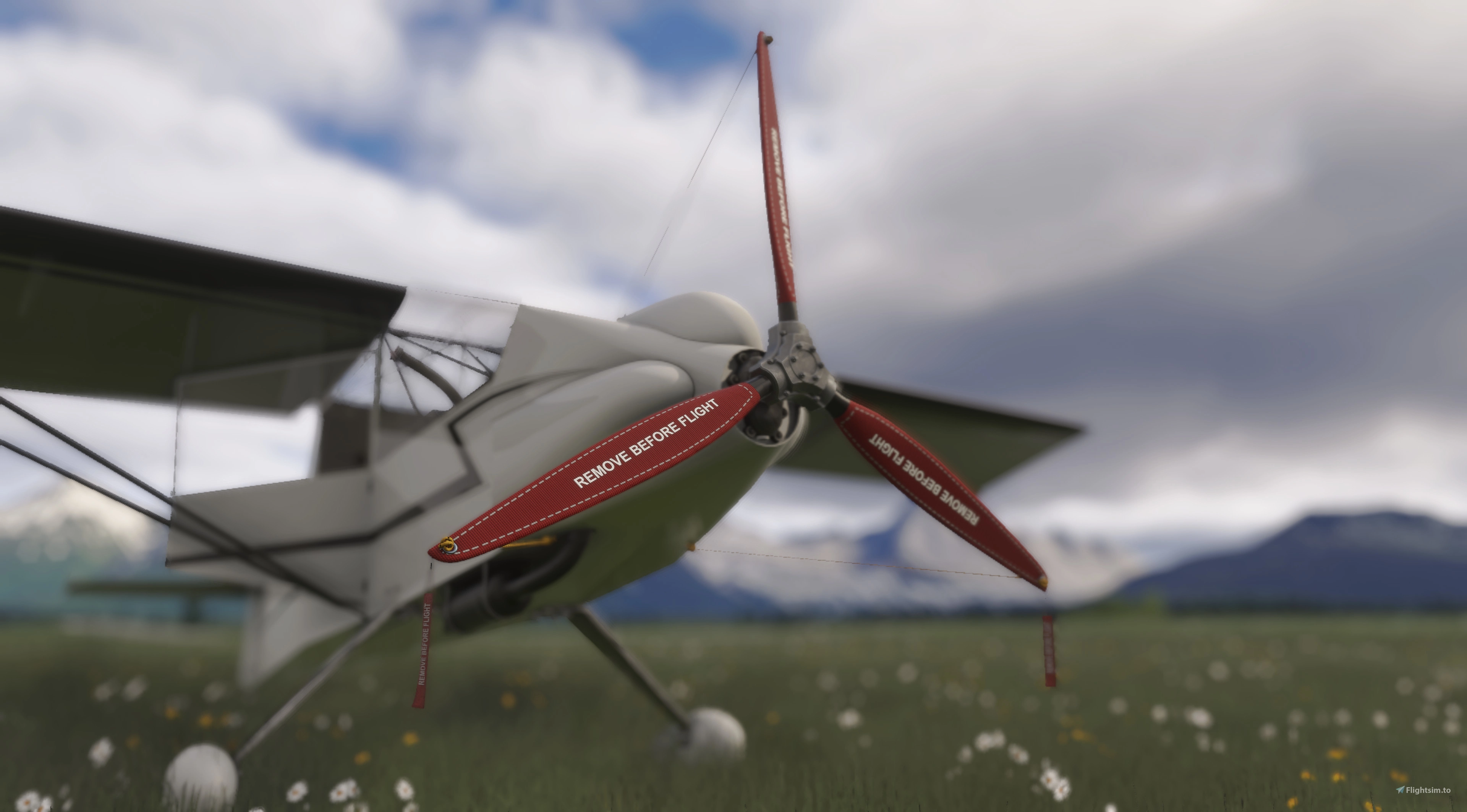 Rara Avis Sims Rara Avis Sims Zippy Sport Version 2 0 for Microsoft