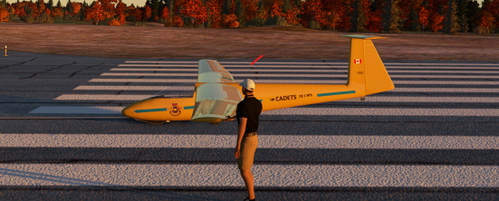 Fictitious RC Air Cadet Livery for the Pirate SZD glider