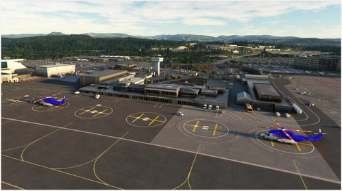 RDPresets ENBR Bergen static Helicopter exclude