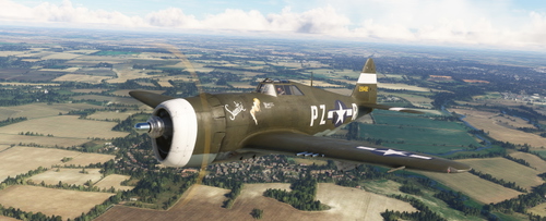 Republic P-47D Razorback  352nd FG PZ-R "Sweetie"