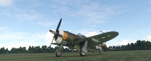 Republic P-47D Razorback 353rd FG YJ-X "Little Demon" / N47DG