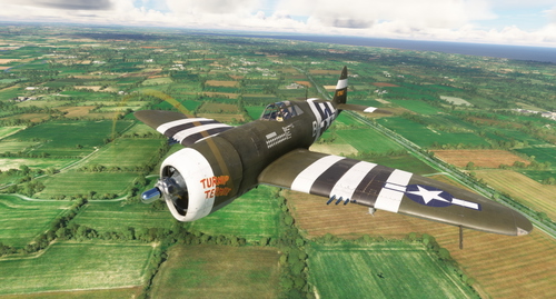 Republic P-47D Razorback 365th FG  B4-U "Turnip Termite"