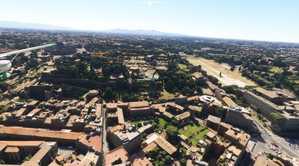 ROM - Italy city tree removed thumbnail 2