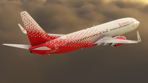 Rossiya | Pack | PMDG 737-800 thumbnail 5