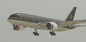 Royal Jordanian JY-BAA | Kuro B787-8 V2 thumbnail 3