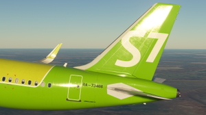 S7 Airlines RA-73466 thumbnail 6