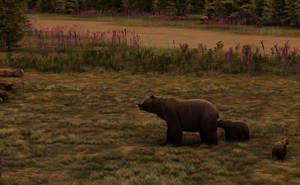 S92 Fish Lake thumbnail 8
