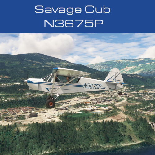 Savage Cub N3675P